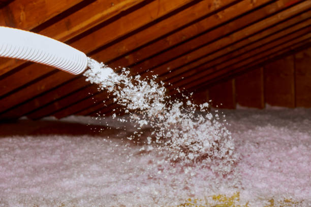 Best Cellulose Insulation in Delevan, NY