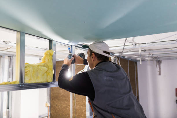 Best Residential Insulation in Delevan, NY