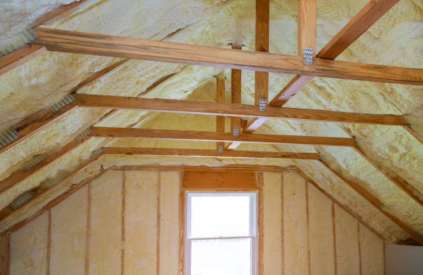 Best Specialized Insulation Services in Delevan, NY