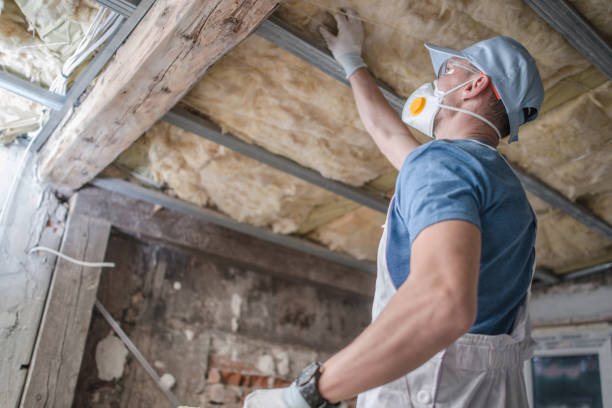 Best Insulation for Specific Applications in Delevan, NY