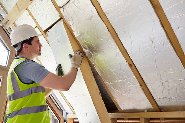 Best Geographic-Specific Insulation Services in Delevan, NY