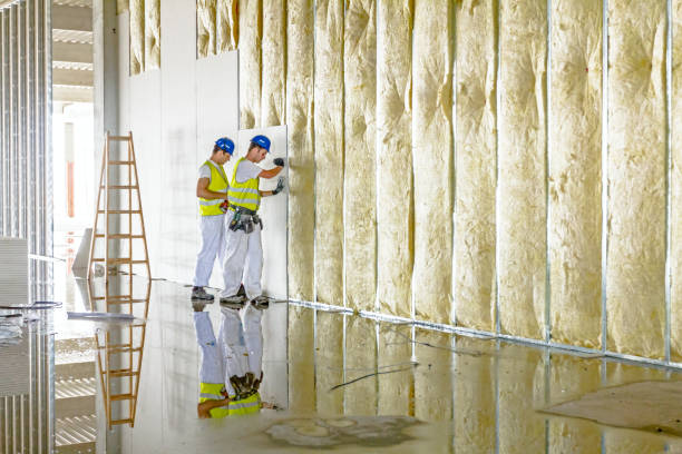 Best Fiberglass Insulation in Delevan, NY